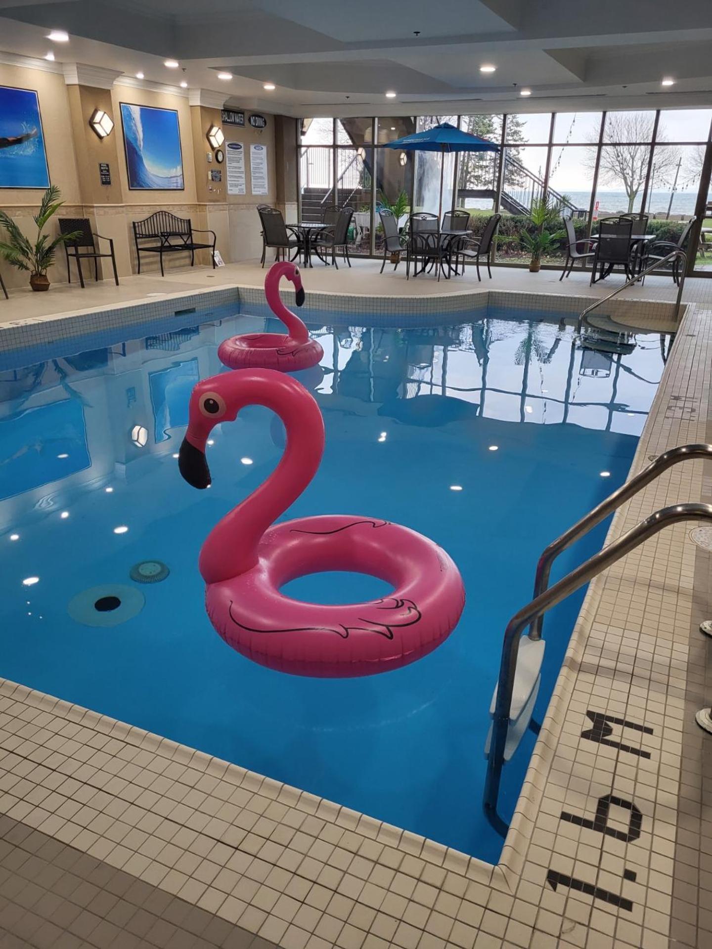 Waterfront Hotel Downtown Берлінгтон Екстер'єр фото